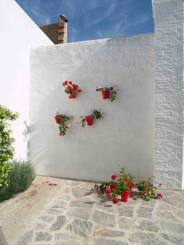 picture of Patios & Terraces and Single-Family Homes 