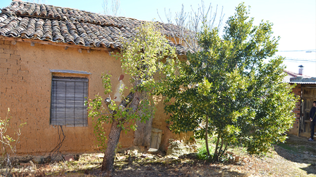 picture of Patios & Terraces and Single-Family Homes 