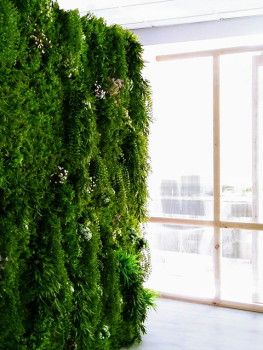 picture of Landscape Design and Interior Architecture & Design 
