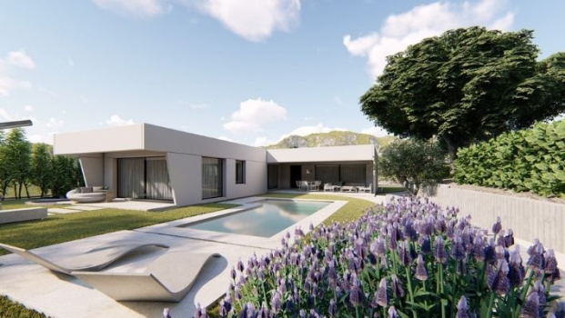 picture of Landscape Design and Single-Family Homes 