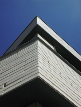 picture of Single-Family Homes and New Build 
