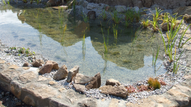 Imagen de Jardín y Piscina 