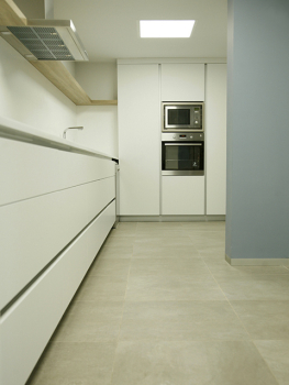 picture of Single-Family Homes and Flats / Apartments 