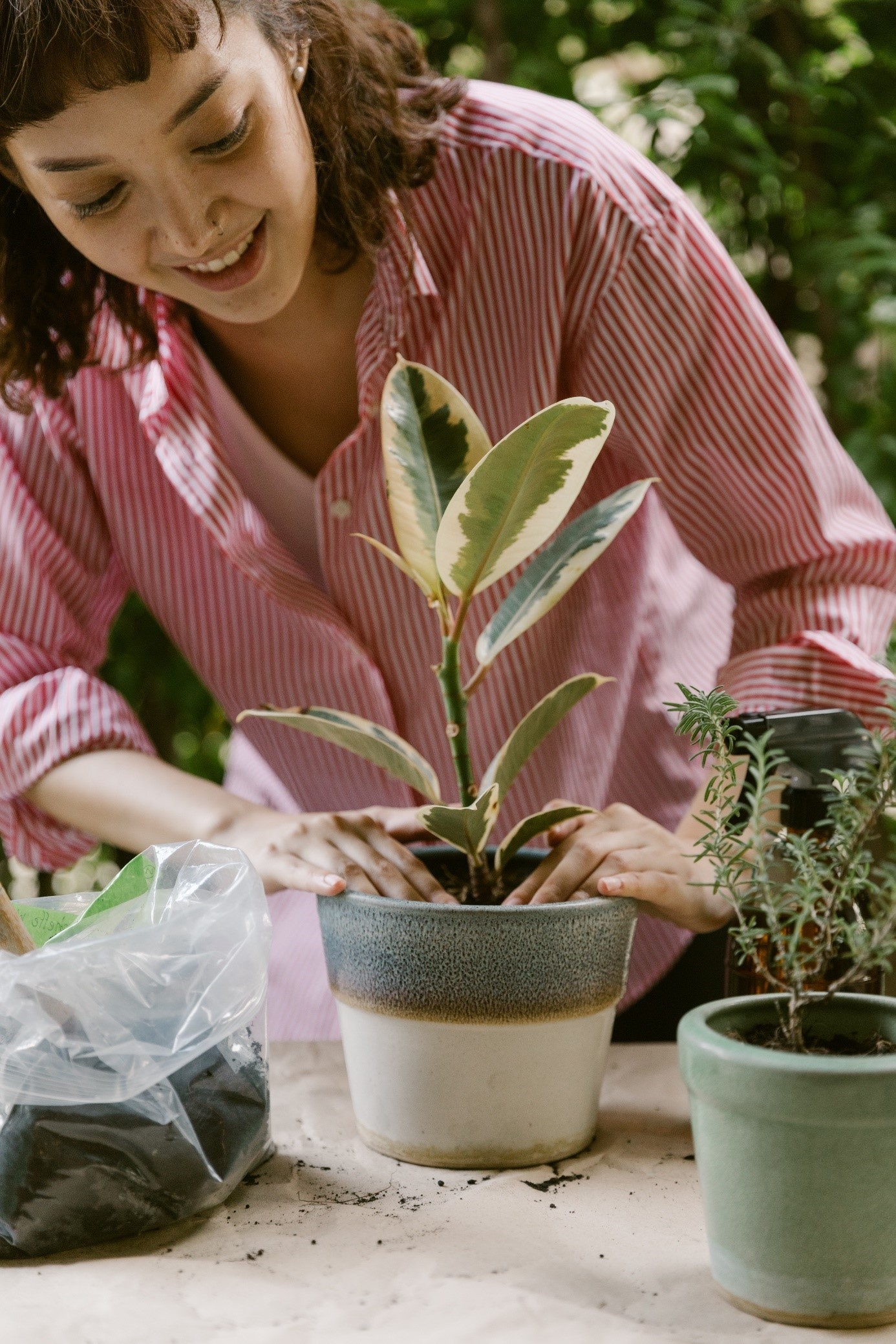 Los beneficios de las plantas en el hogar