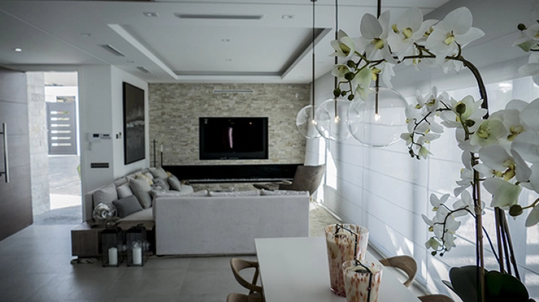 Single-Family Homes, New Build, Renovation