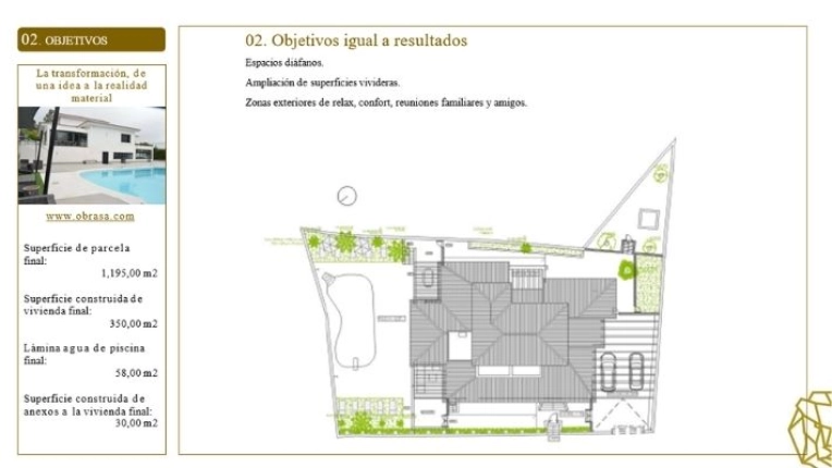 Obra nueva, Edificios profesionales